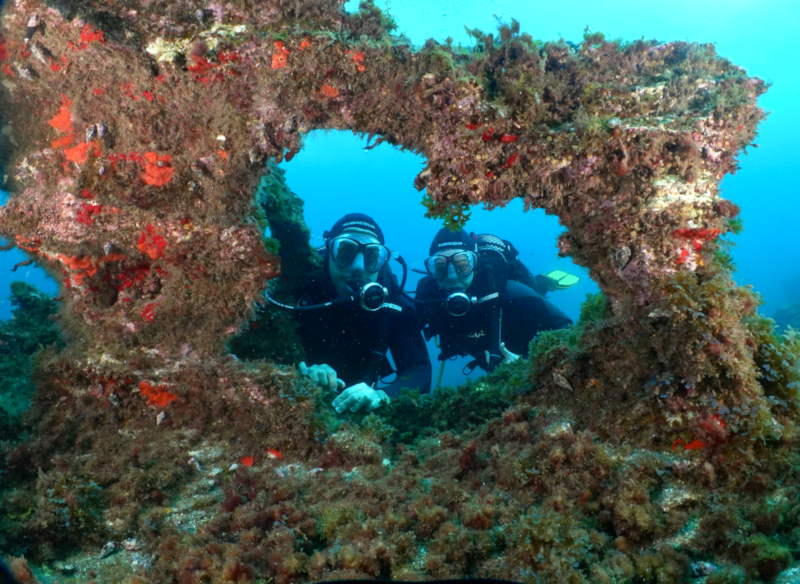 montana-amarilla Buceadores en un coral del punto de inmersión Montaña Amarilla